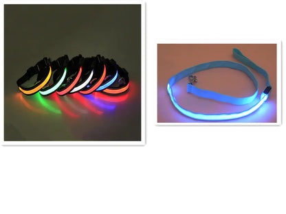 LED Dog Leash with Fluorescent Dog Collar - PetHugZ