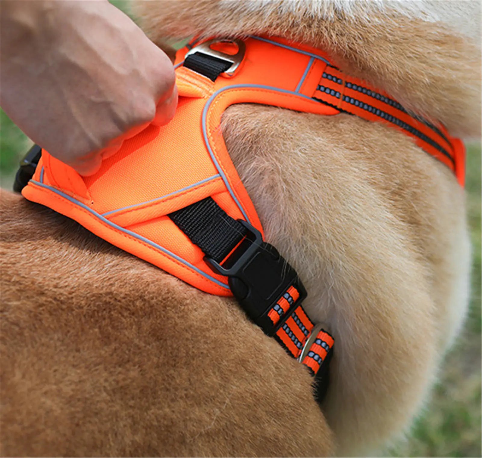 Durable Waterproof Pet Harness with Vertical Handle - PetHugZ