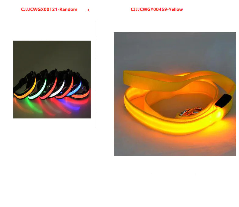 LED Dog Leash with Fluorescent Dog Collar - PetHugZ