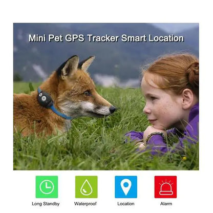 Pet Collar with GPS Tracker and Locator - PetHugZ