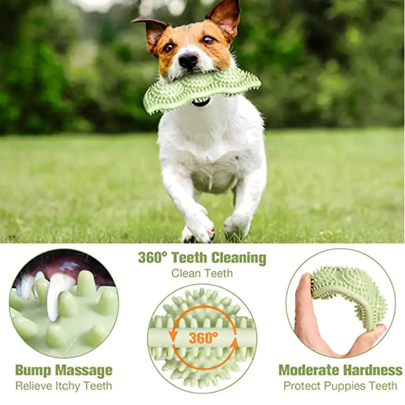 Bite-Resistant Dog Toy Ball for Interactive Chewing - PetHugZ