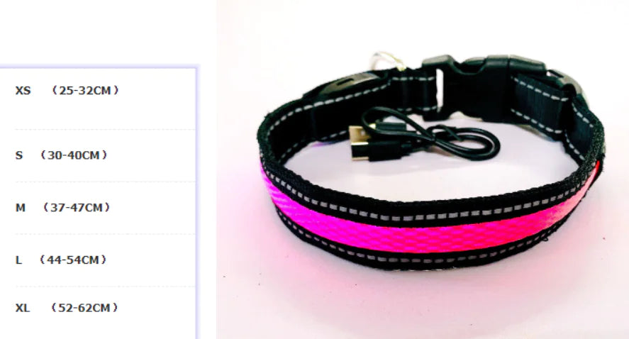 LED Dog Leash with Fluorescent Dog Collar - PetHugZ