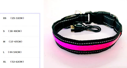 LED Dog Leash with Fluorescent Dog Collar - PetHugZ