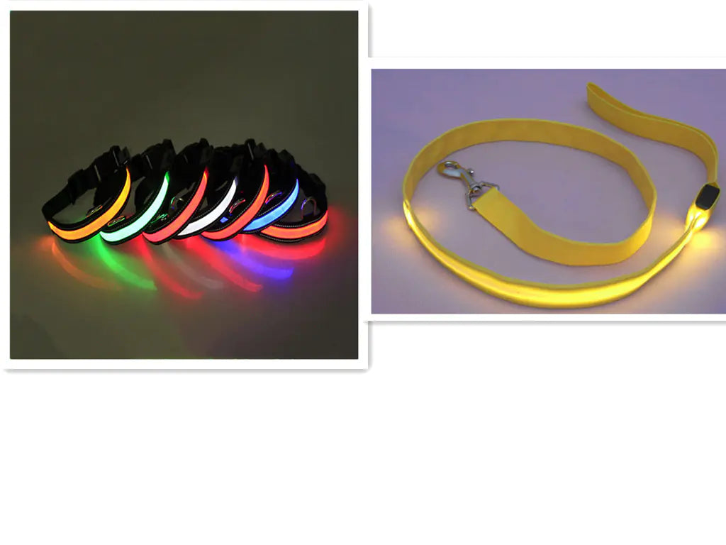 LED Dog Leash with Fluorescent Dog Collar - PetHugZ