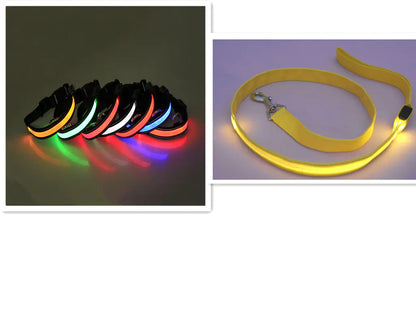 LED Dog Leash with Fluorescent Dog Collar - PetHugZ