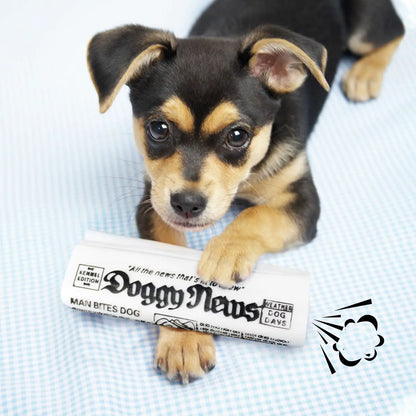 Squeaky Dog Toy - Newspaper Chew Training Toy - PetHugZ