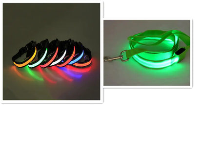 LED Dog Leash with Fluorescent Dog Collar - PetHugZ