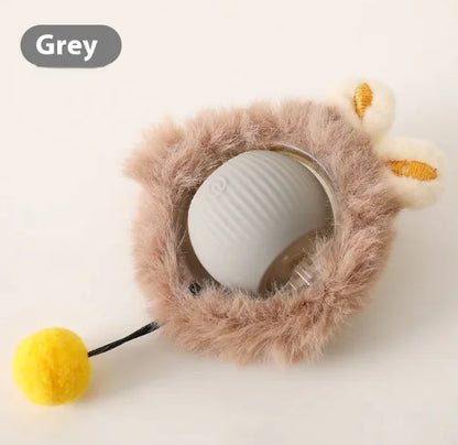 PurrPlay Self-Rolling Cat Toy Ball - PetHugZ