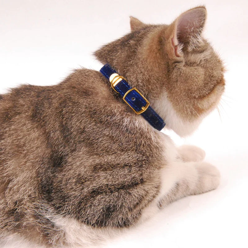 Cat Collar - PetHugZ