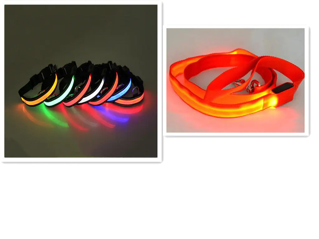 LED Dog Leash with Fluorescent Dog Collar - PetHugZ