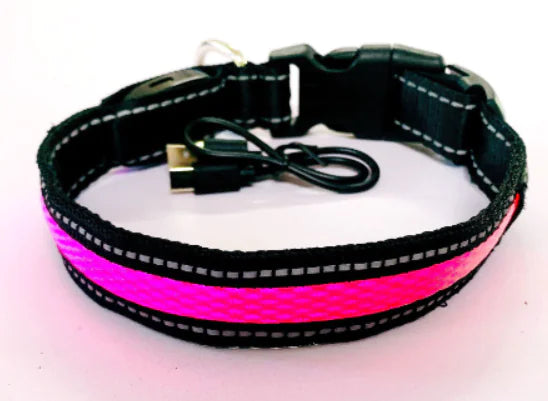 LED Dog Leash with Fluorescent Dog Collar - PetHugZ